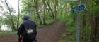 An image of Professor Deirdre Heddon walking through a woodland while on a Walking Library event