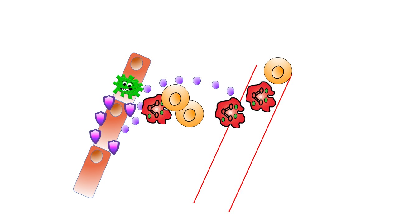 Cartoon of a green virus with cells sending signals to each other