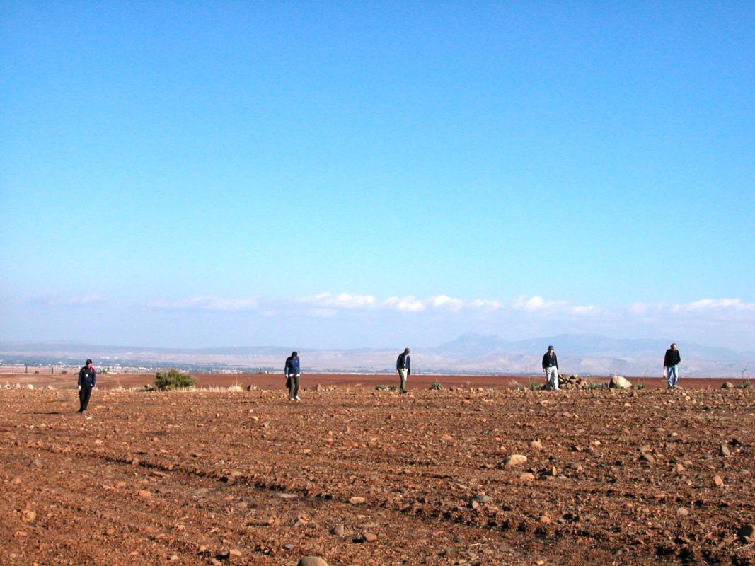 Fieldwalking in central Cyprus (Troodos Archaeological and Environmental Research Project)