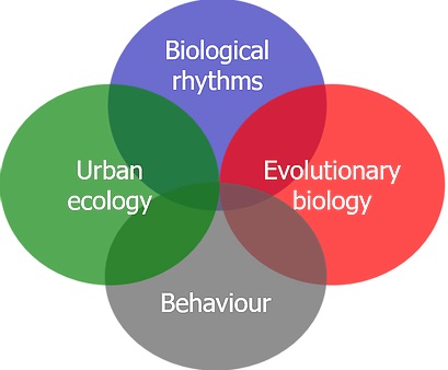 Venn diagram showing overlap of Biological Rhythms, Evolutionary Biology, Behaviour and Urban Ecology