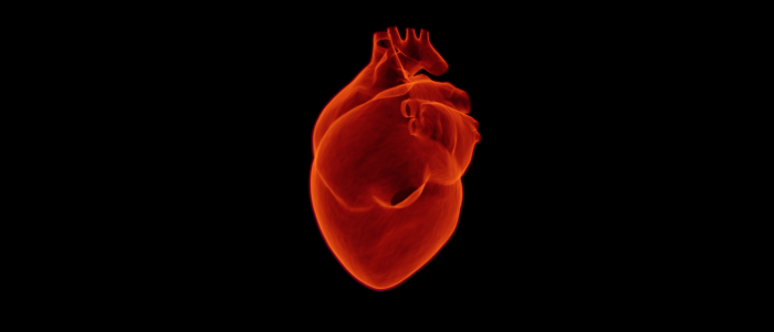 A stylised image of a human heart on a black background