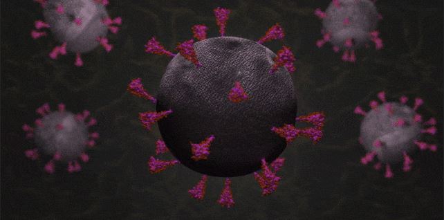 An animation of SARS-CoV-2
