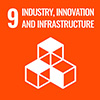 SDG 9 icon