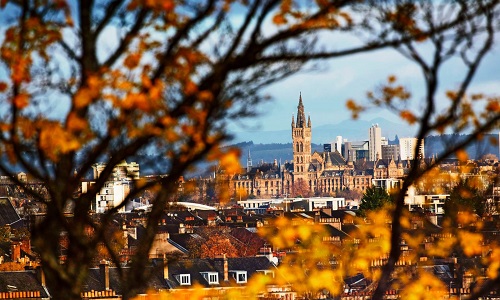 City view in distance, framed by branches and autumn leaves