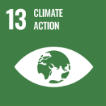UN Sustainable Development Goal 13: Climate action icon