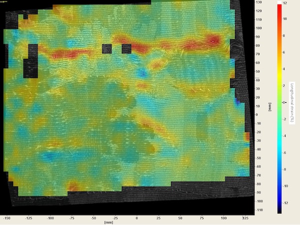 A strain map overlaid on an image of a tapestry. The red areas denote high strain. © Textile Conservation Foundation