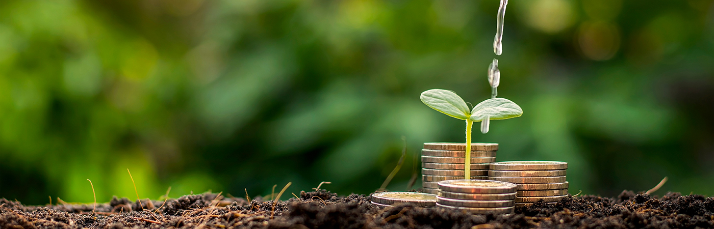 Coins on soil with a plant growing and being watered 