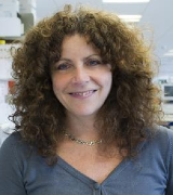 A head and shoulders profile shot of Professor Sue Barnett in the lab