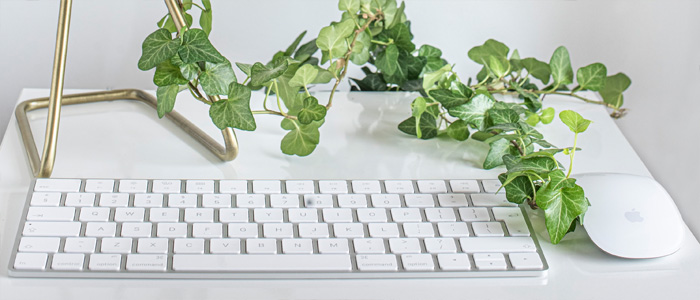 A computer keyboard with a plant