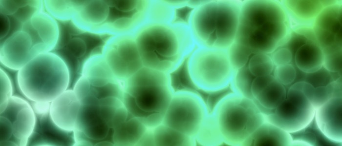 Image of bacteria cells