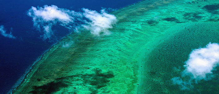 Image of barrier reef