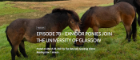 Image of horses in a field 