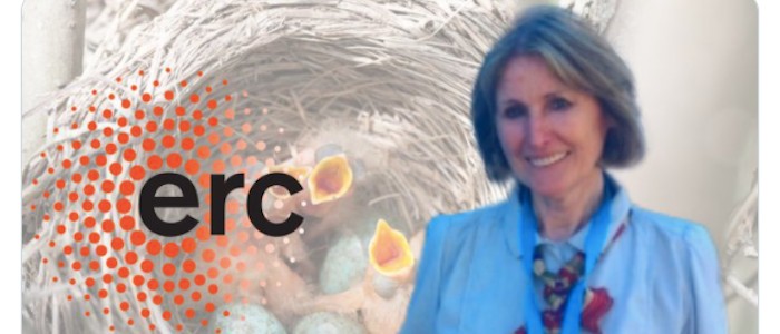 Image of Pat Monaghan and ERC logo with blurred background