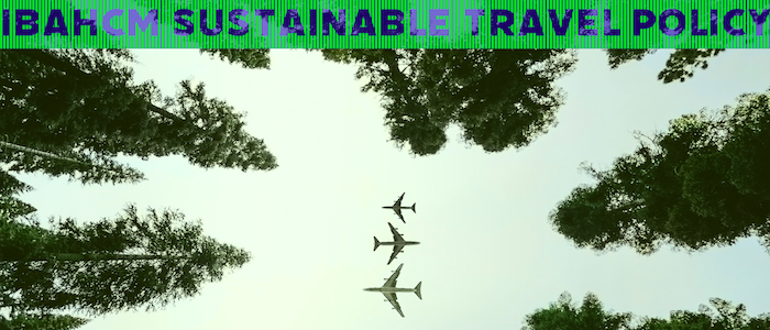 Image of trees and planes overhead