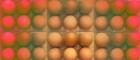 Image of a tray of hens eggs
