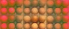 Image of a tray of hens eggs