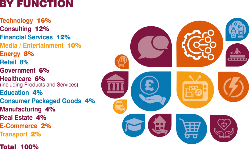 BY FUNCTION: Technology 16%, Consulting 12%, Financial Services 12%, Media / Entertainment 10%, Energy 8%, Retail 8%, Government 6%, Healthcare (including Products and Services) 6%,  Education 4%, Consumer Packaged Goods 4%, Manufacturing 4%, Real Estate 4%, E-Commerce 2%, Transport 2%, Total 100%