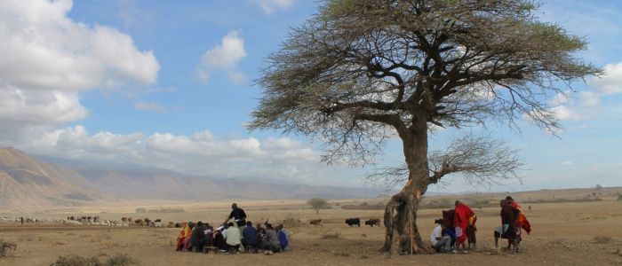 Groups of people in the African desert undertaking an outdoor focus group discussion on bacterial zoonoses. Photo by Jo Halliday.