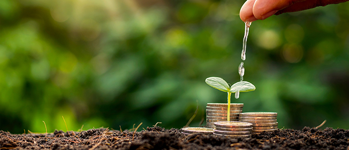 The business man's hand is watering the plants growing on the pile of coins stacked on the ground financial growth and business management ideas.