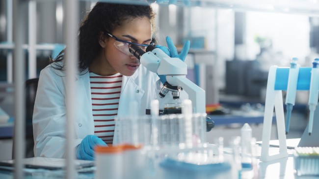 Researcher working in the laboratory