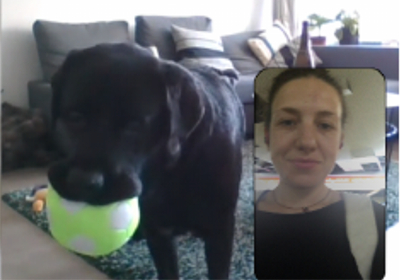 DogPhone: A device for a dog to video call their human while home alone.