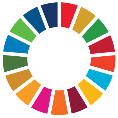 Colour wheel graphic representing the colours of the 17 Sustainable Development Goal graphics