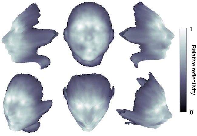 3D imaging with enhanced fidelity. A series of views of a 3D reconst ruction of a mannequin head located at a range of 30 cm. Here, depth is represented as the surface profile, and reflectivity is rendered as the surface shading. The data for this reconstruction were acquired in 2 s