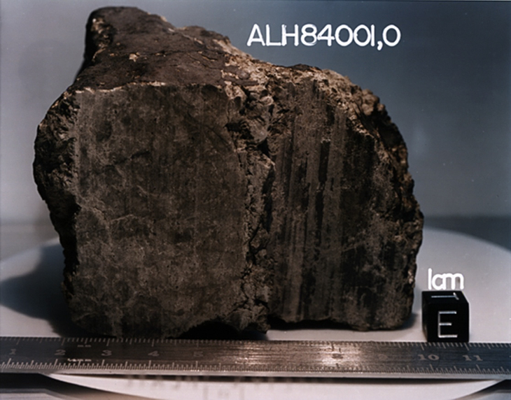 The Allan Hills 84001 meteorite courtesy of NASA/JSC/Stanford University.