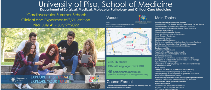 Image of Pisa Summer School Flyer
