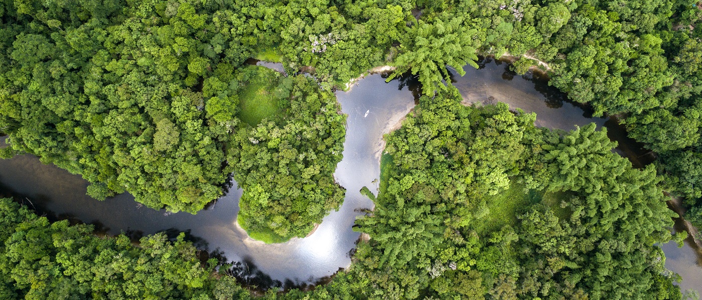 Aerial view of rainforest in Brazil with a river winding through a thick forest of green trees. Image credit: Ildo Frazao | iStockphoto https://www.istockphoto.com/photo/aerial-view-of-rainforest-in-brazil-gm657572164-119853657