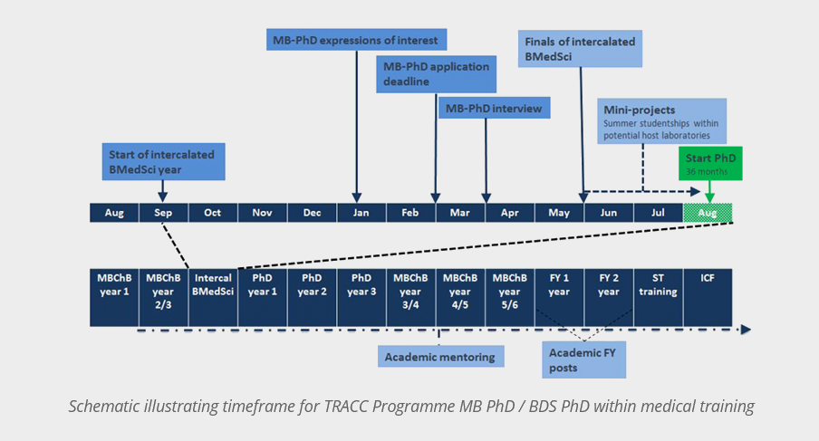 Schematic illustrating timeframe for TRACC Programme MB PhD / BDS PhD within medical training