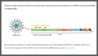 Schematic illustration of single-molecule fluorescence in situ hybridisation (smFISH) for detecting SARS-CoV-2 positive strand genomic RNA (+gRNA) within infected cells