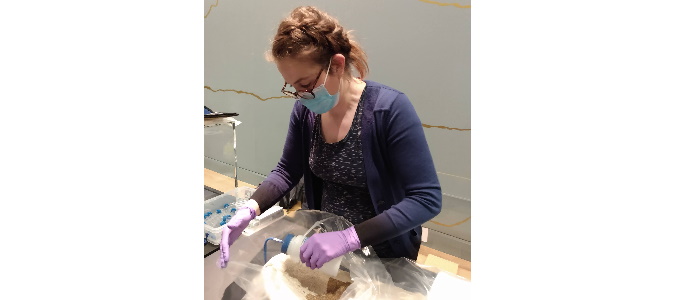 Dr. Monica Nicolaides Ramsey