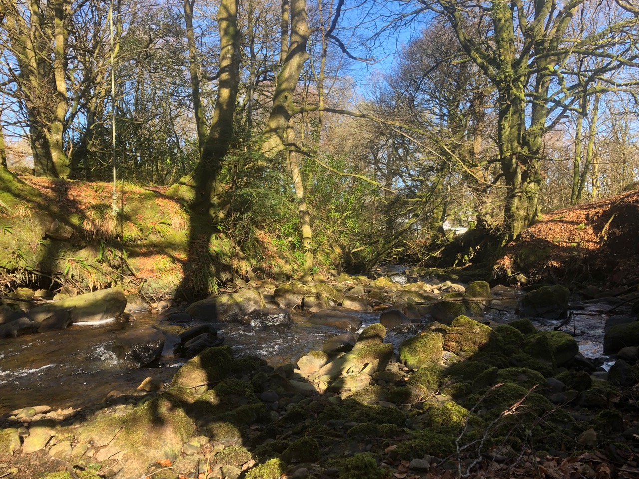 Photo of a stream