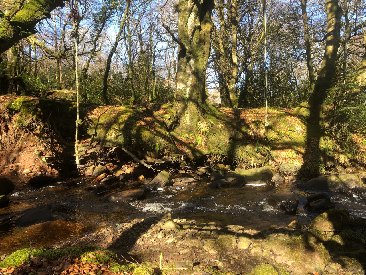 Photo of a stream