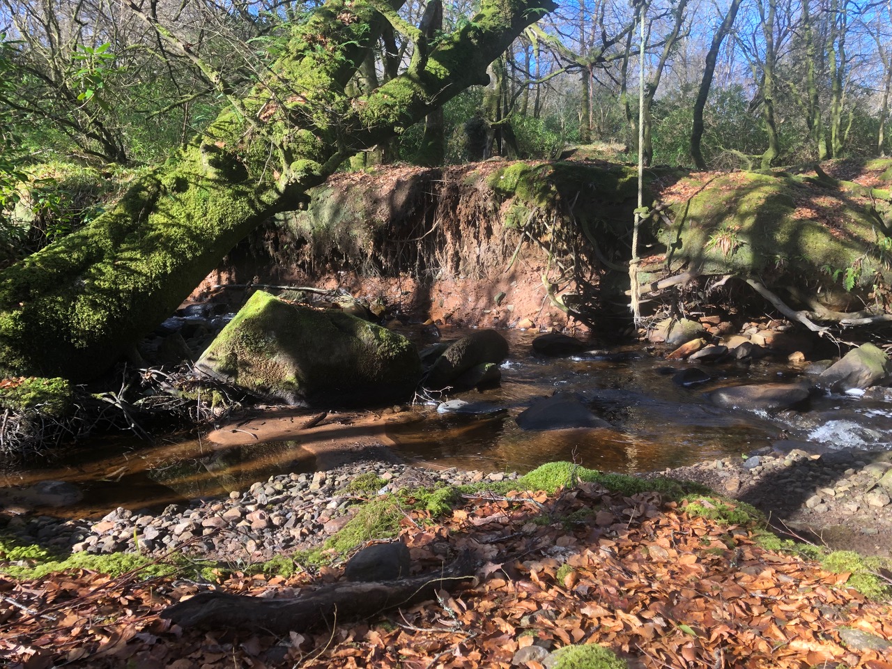 Photo of a stream