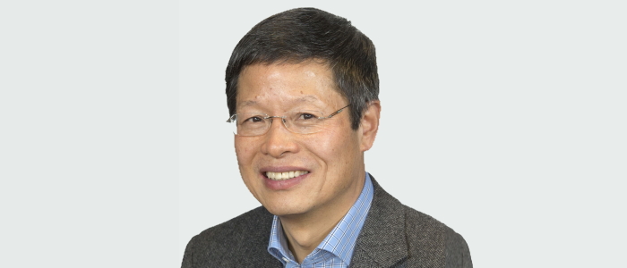 Head and shoulders image of Professor Ya Ping Wang