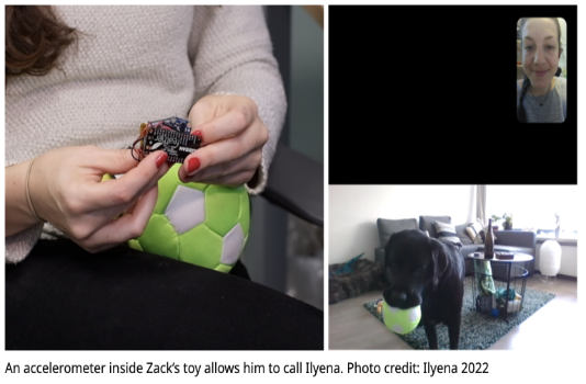 An accelerometer inside Zack’s toy allows him to call Ilyena. Photo credit: Ilyena 2022