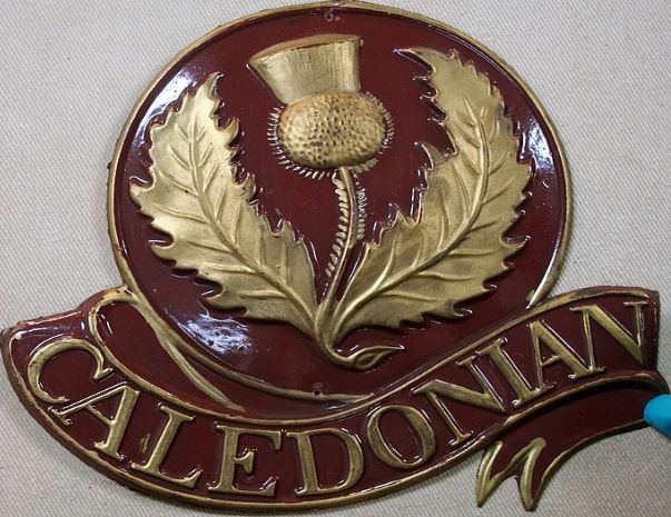 Gold and burgundy badge with a thistle and caledonia