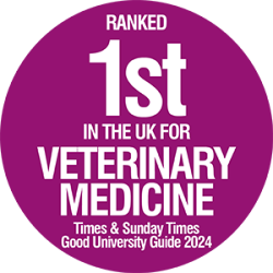 2024 Veterinary Medicine Ranking 1st in the UK