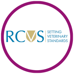 RCVS Accreditation logo