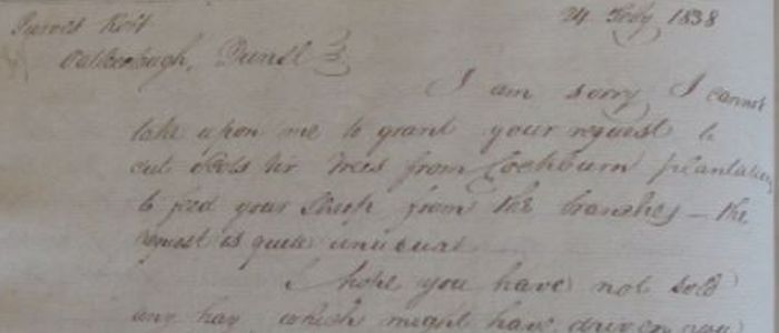 Close-up of old handwriting in letter