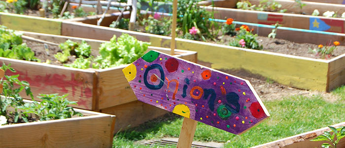This vacant lot in an inner-city neighborhood has been transformed into a community garden