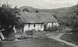 Highland cottage