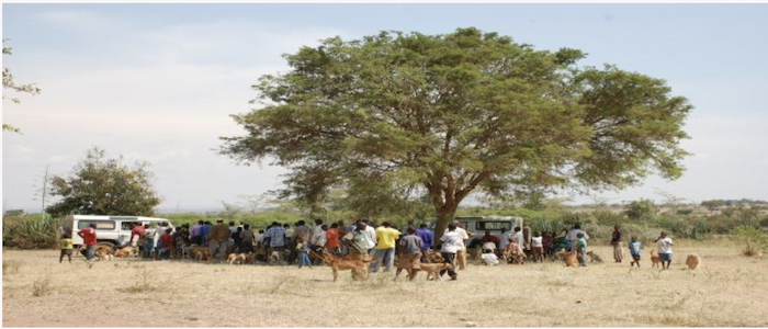 Image of people queuing to have dogs vaccinated