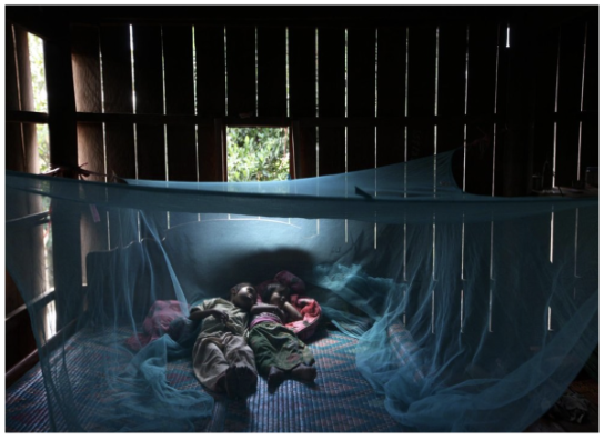 Image of children in bed surrounded by mosquito netting