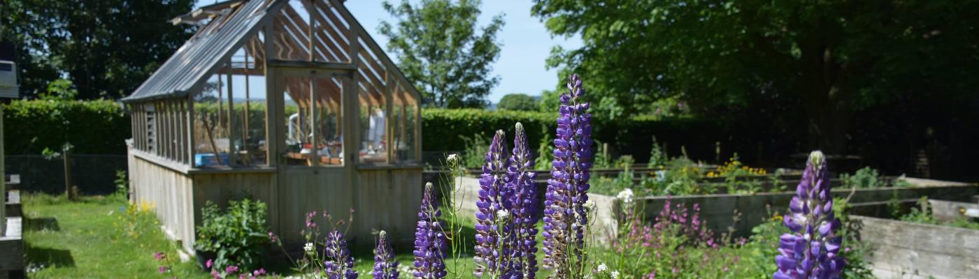 Dumfries Teaching Garden