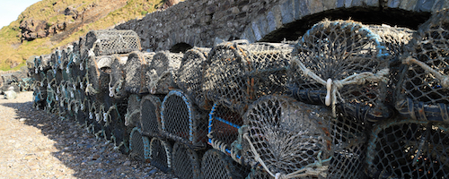 Traditional lobster pots