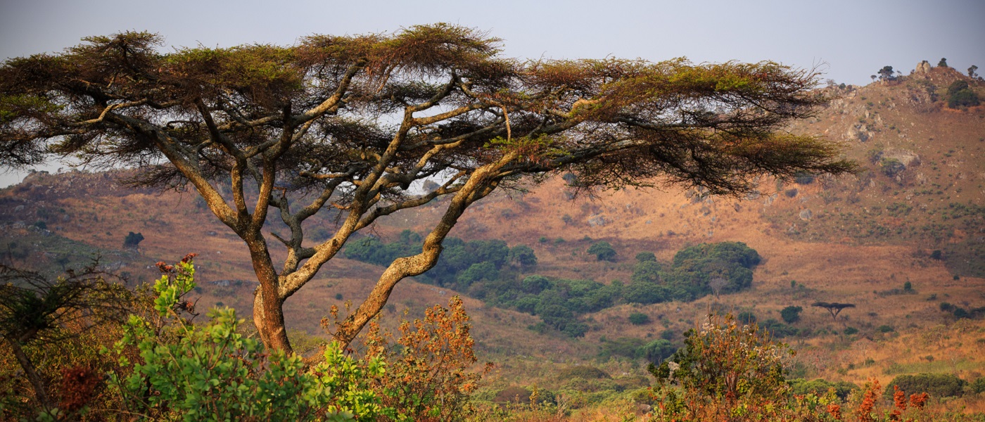 Photo of a Malawi landscape