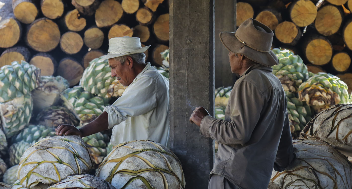 Mezcal producers, Oaxaca, Mexico. Copyright Graeme Green